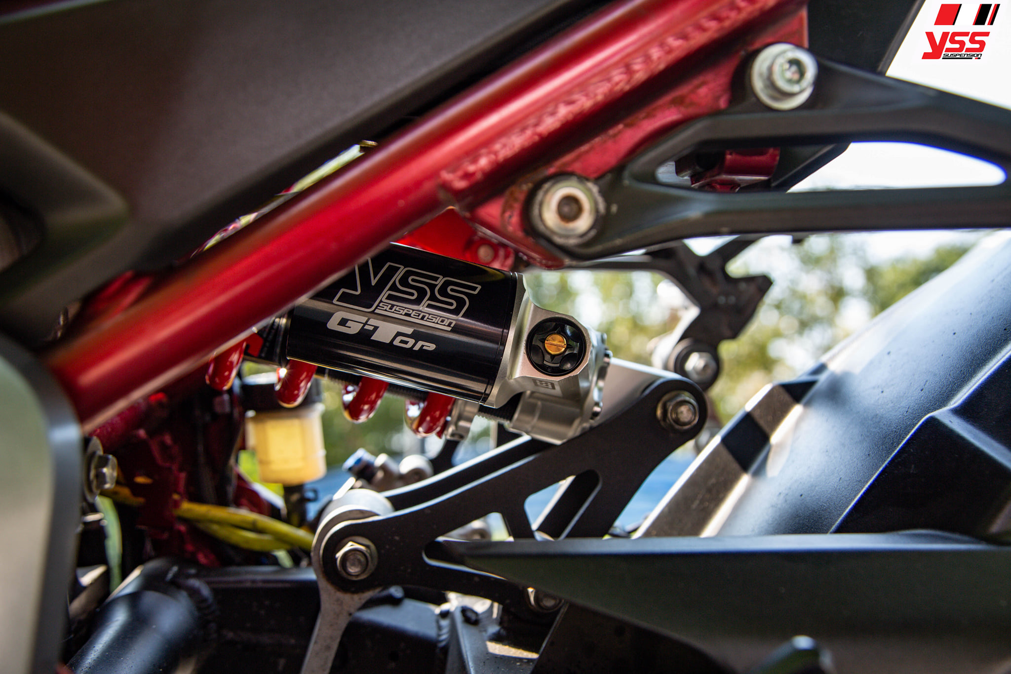 145735533_238926407840718_6377287736302224873_n.jpg 145735533_238926407840718_6377287736302224873_n.jpg