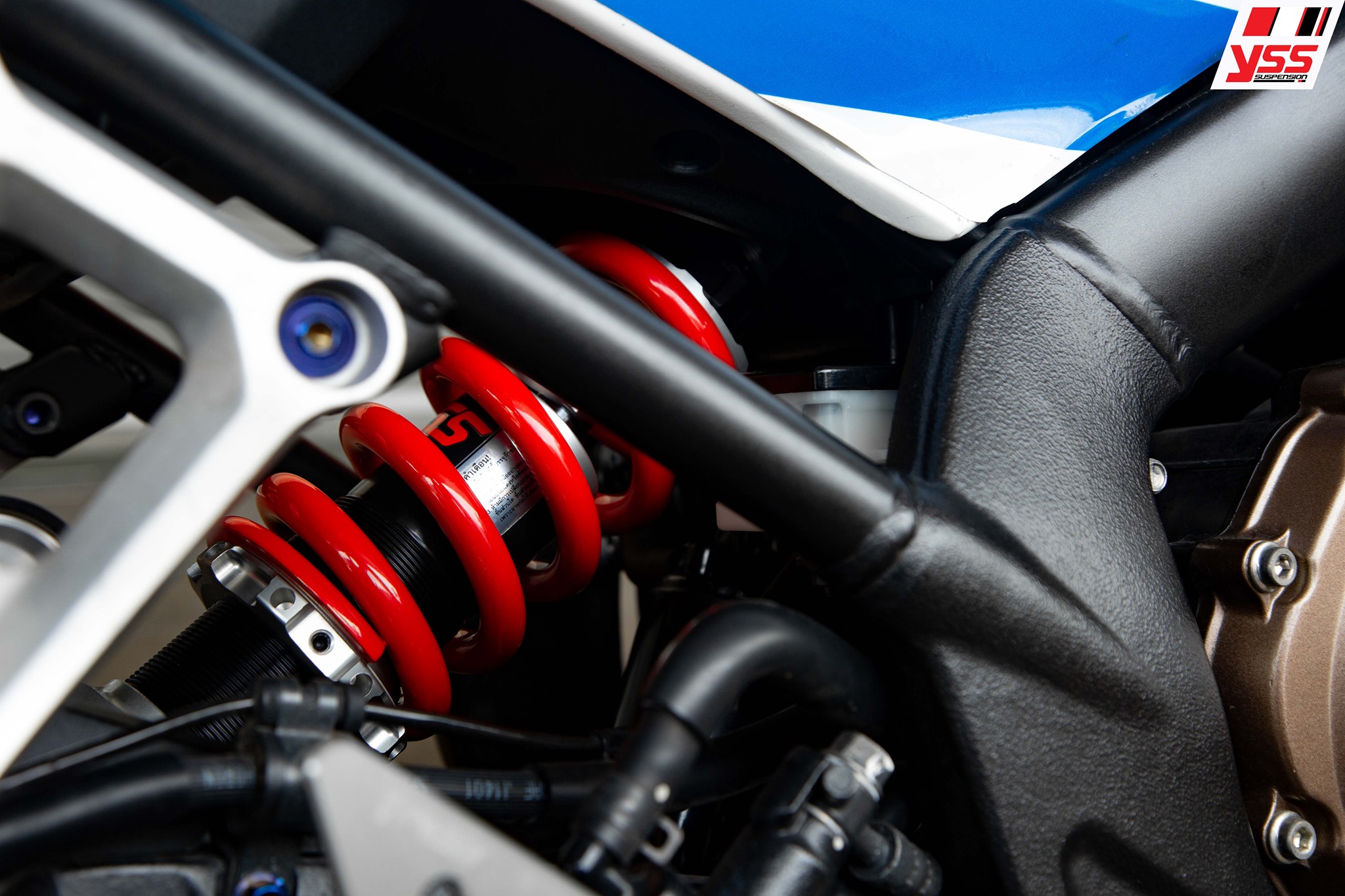 255126864_5192427110787110_2831512221057884130_n.jpg 255126864_5192427110787110_2831512221057884130_n.jpg